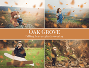 Oak Grove Falling Leaves Photo Overlays