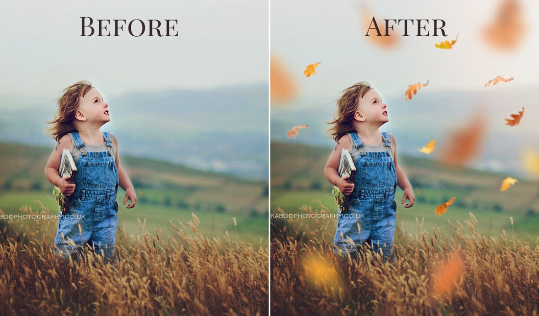 leaves photo overlays