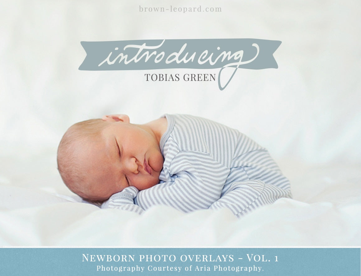 Newborn Photo Overlays
