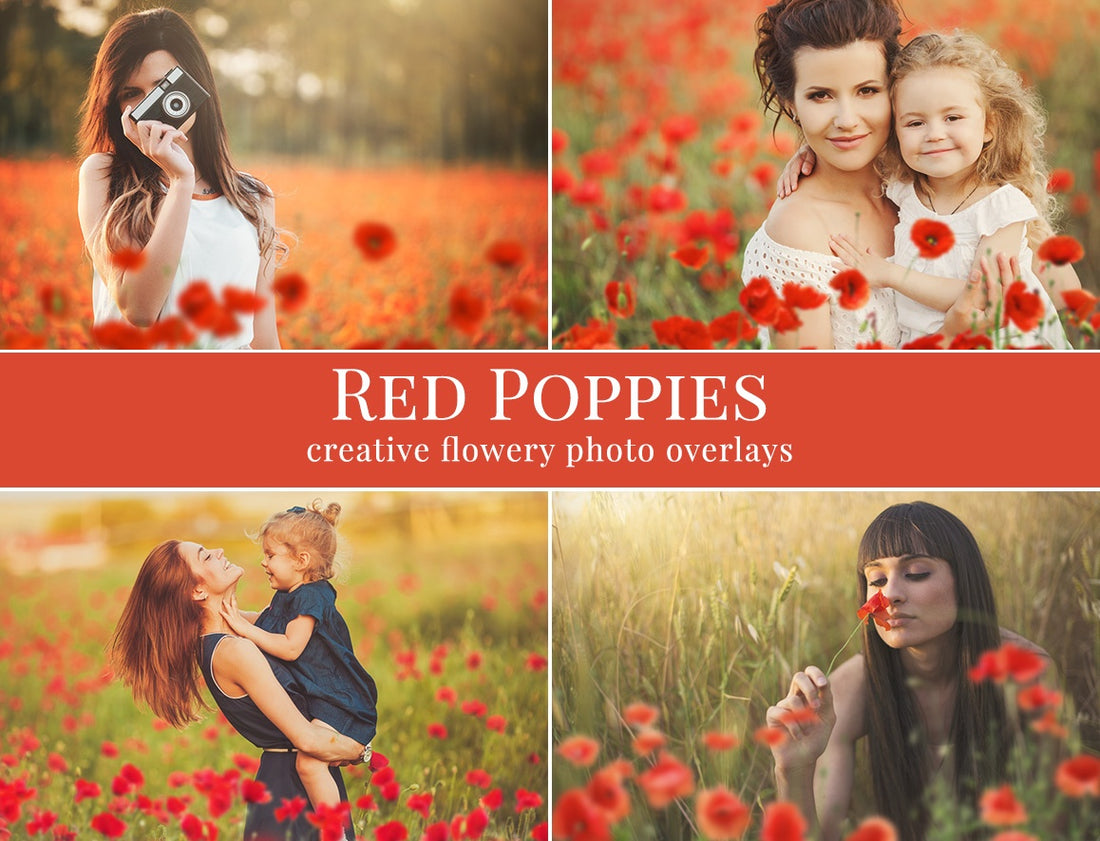 poppies photo overlay freebie