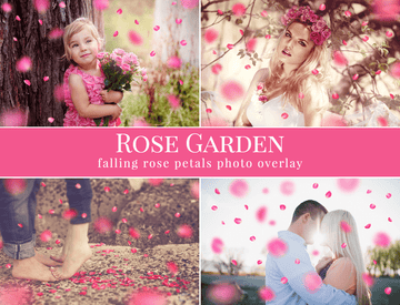 Rose Garden Photo Overlays