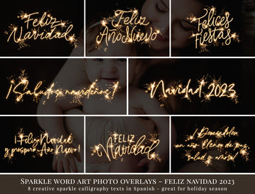 Sparkle Word Art Photo Overlays - Feliz Navidad