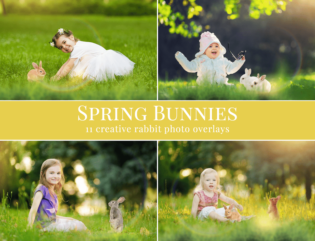 spring photo overlays bundle