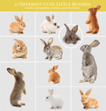 bunnies photo overlays