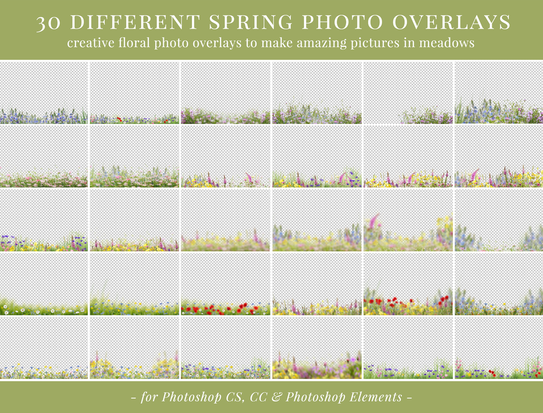 Spring Meadow Photo Overlays