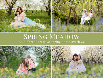 Spring Meadow Photo Overlays