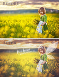 fairy tail photo overlays