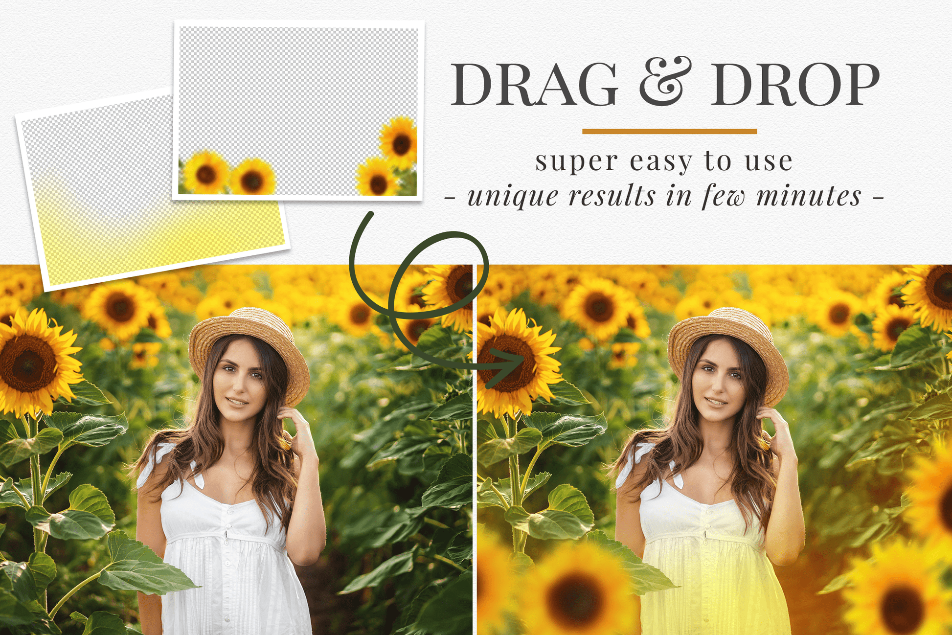 sunflower photo overlays
