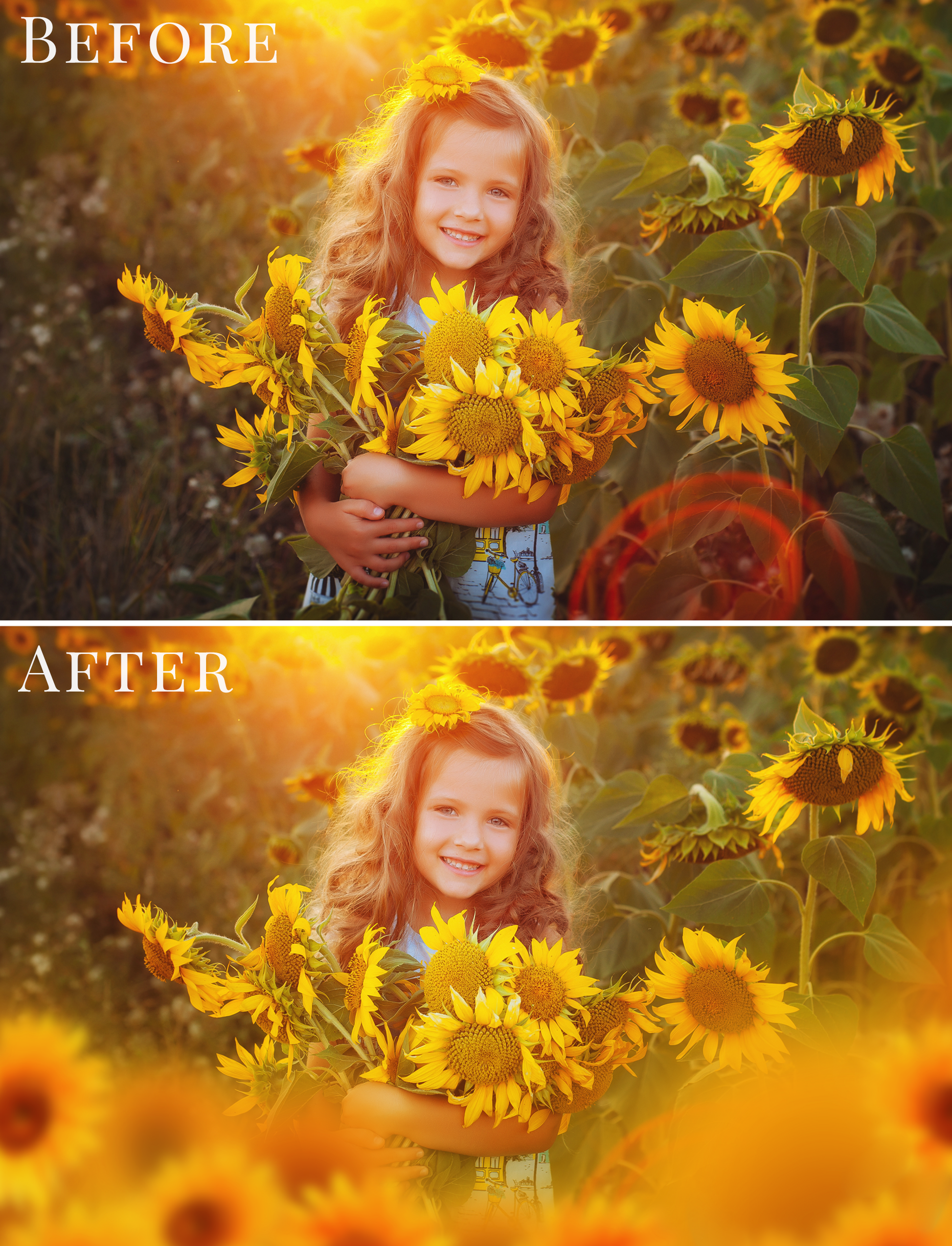 sunflower photo overlays