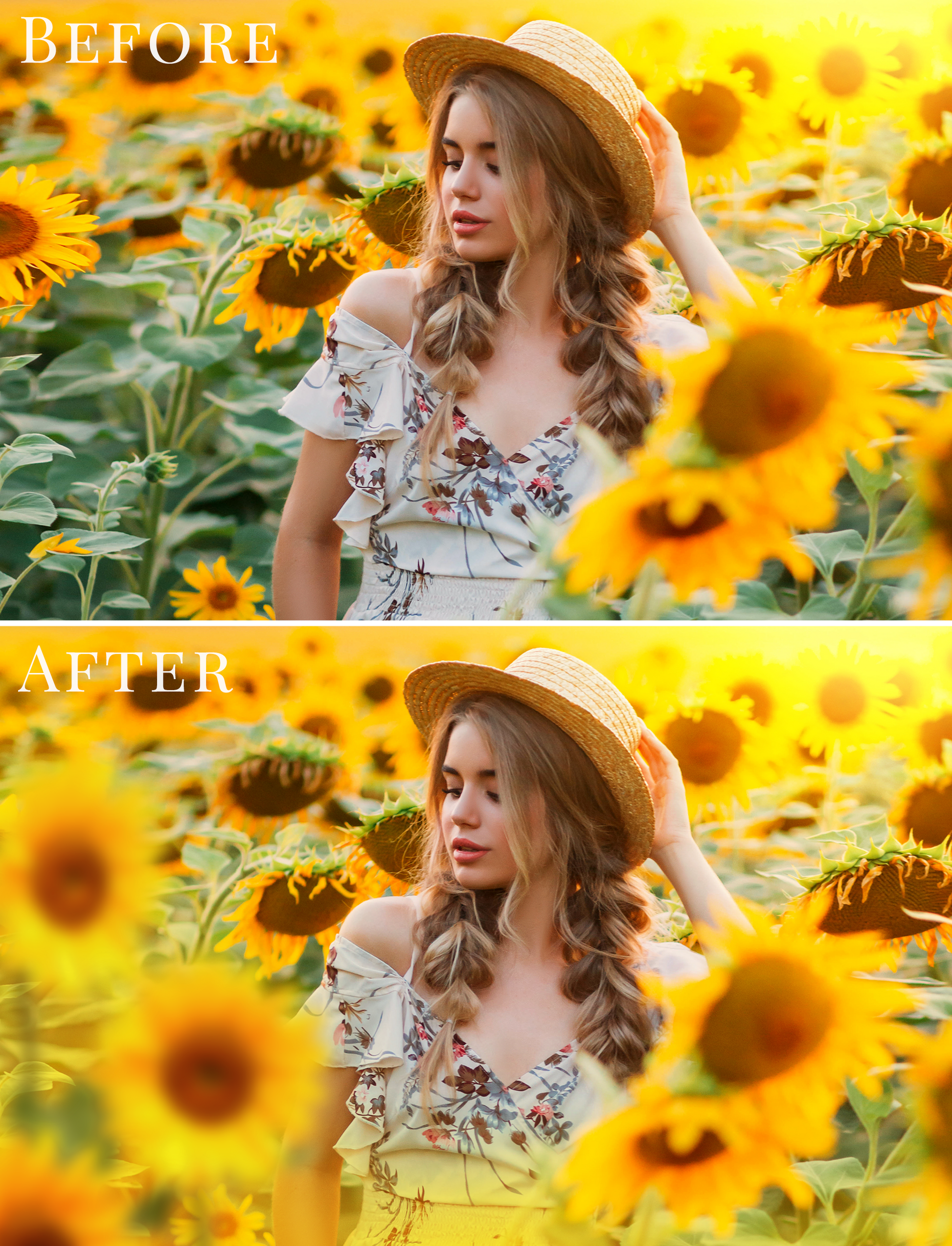 sunflower photo overlays