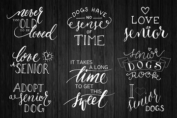 Support Adoption Wording Photo Overlays Vol.1