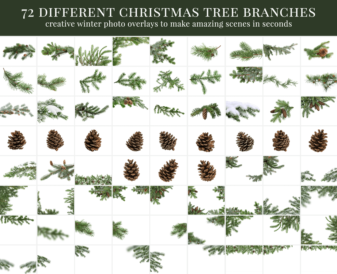 Thru the Pines Photo Overlays