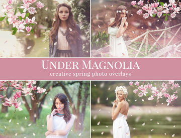 Magnolia photo overlays