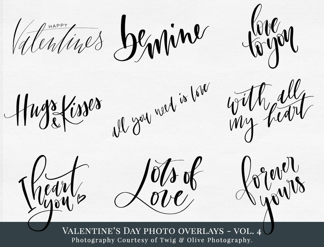 Valentines Day Word Art Photo Overlays Vol. 4