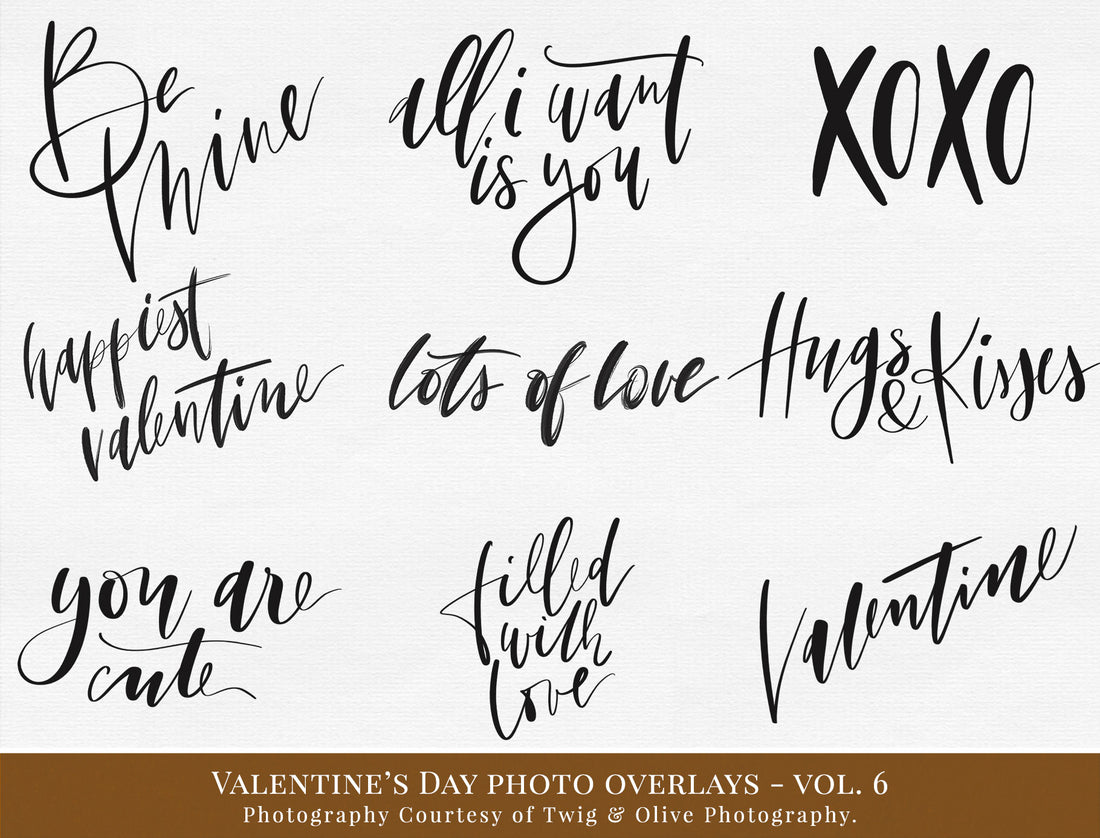 Valentines Day Word Art Photo Overlays Vol. 6