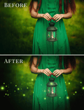 fireflies photo overlays