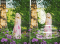 fairy wings photo overlays