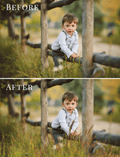 grass photo overlays