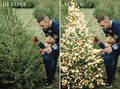 christmas-photo-overlays