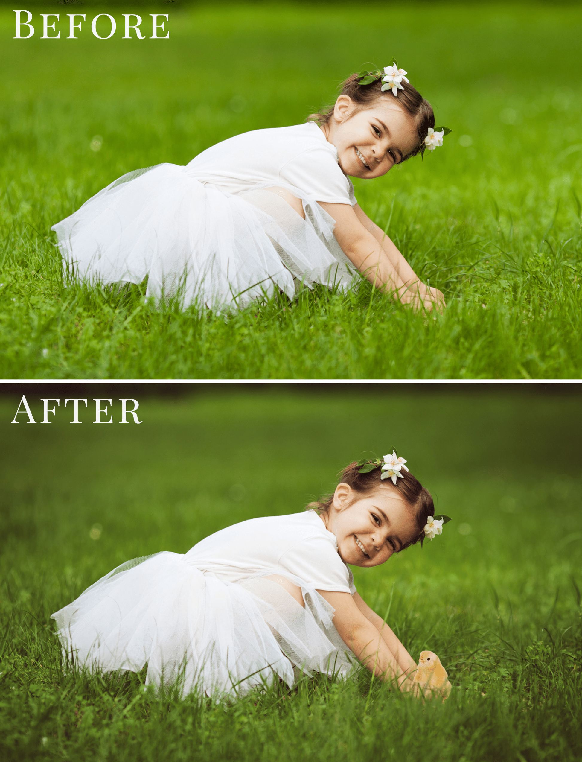 spring chickens overlays