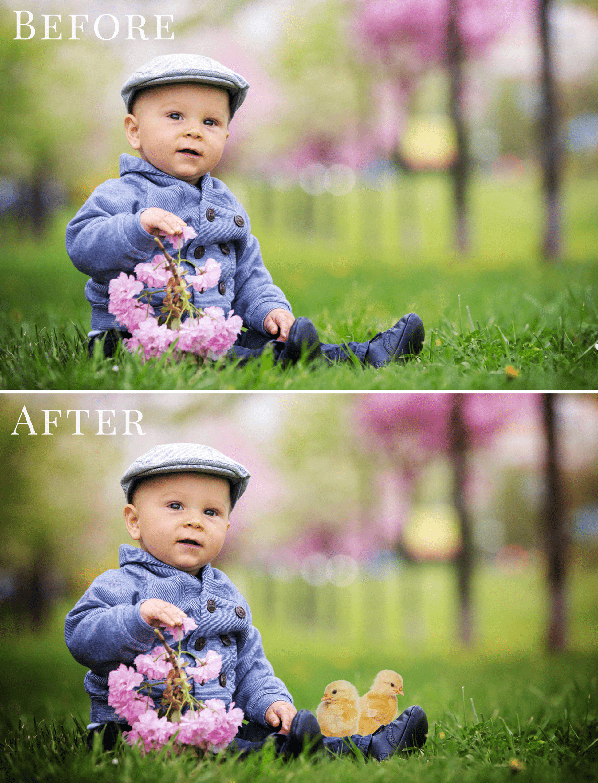 spring chickens overlays