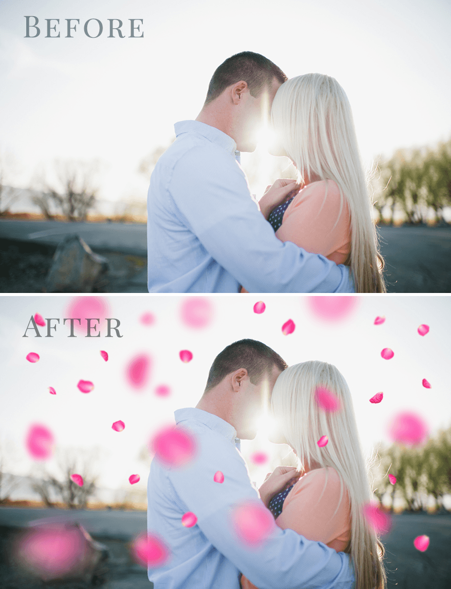 Rose Garden Photo Overlays