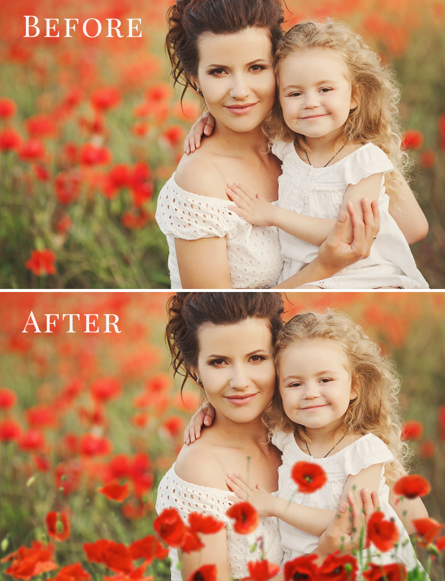poppies photo overlay freebie