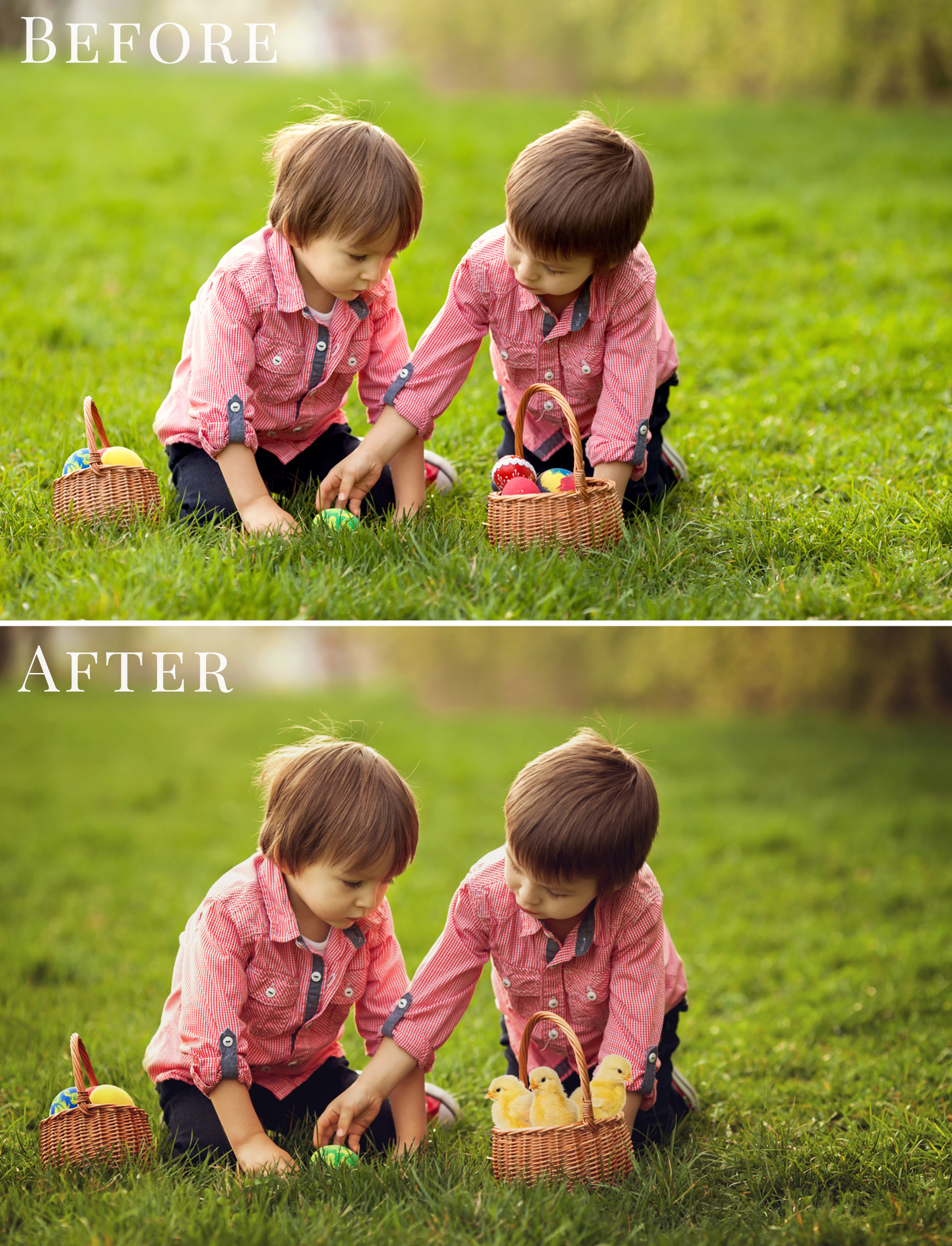 spring chickens overlays