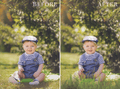 grass photo overlays
