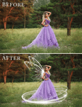 fairy wings photo overlays