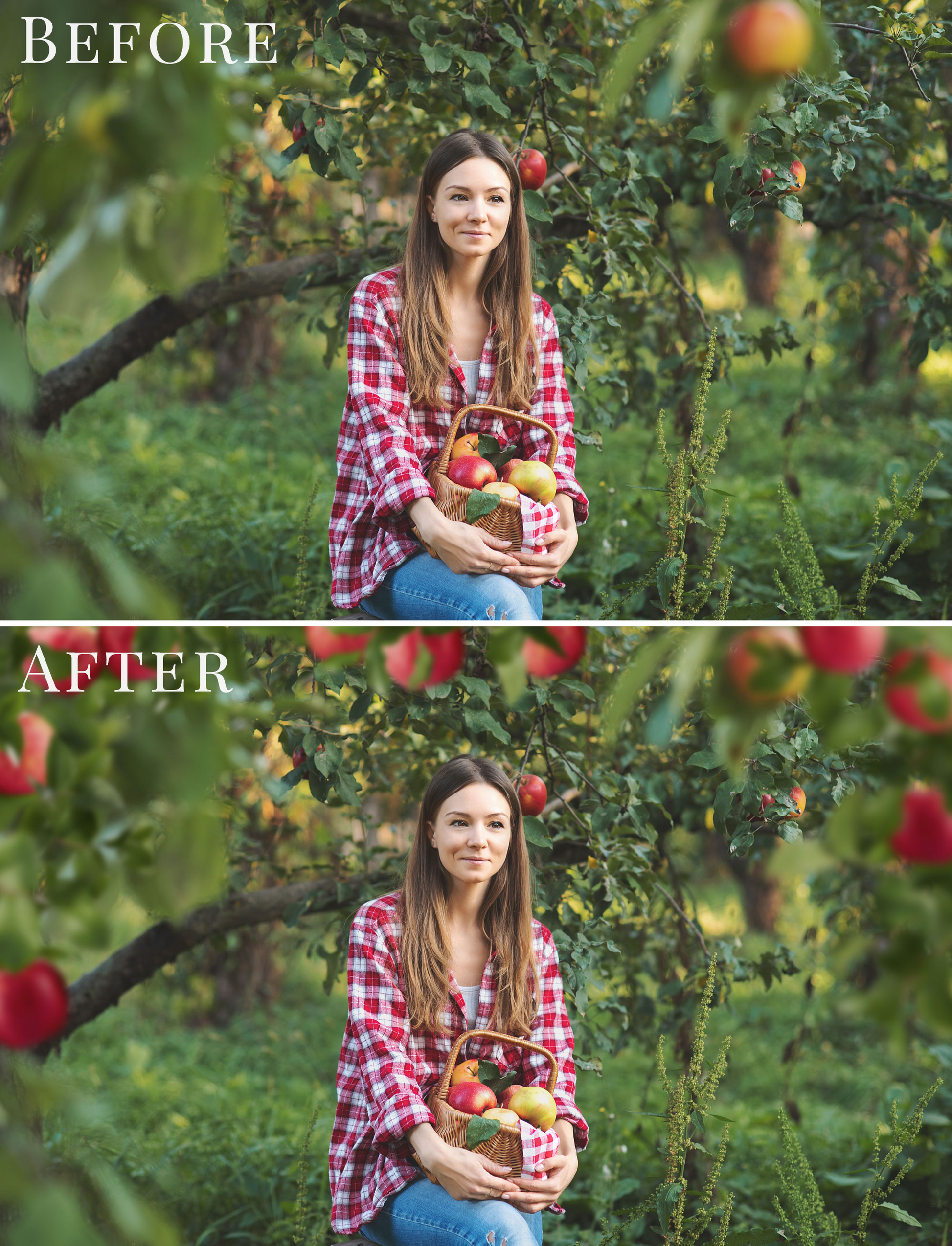 apple orchard photo overlays