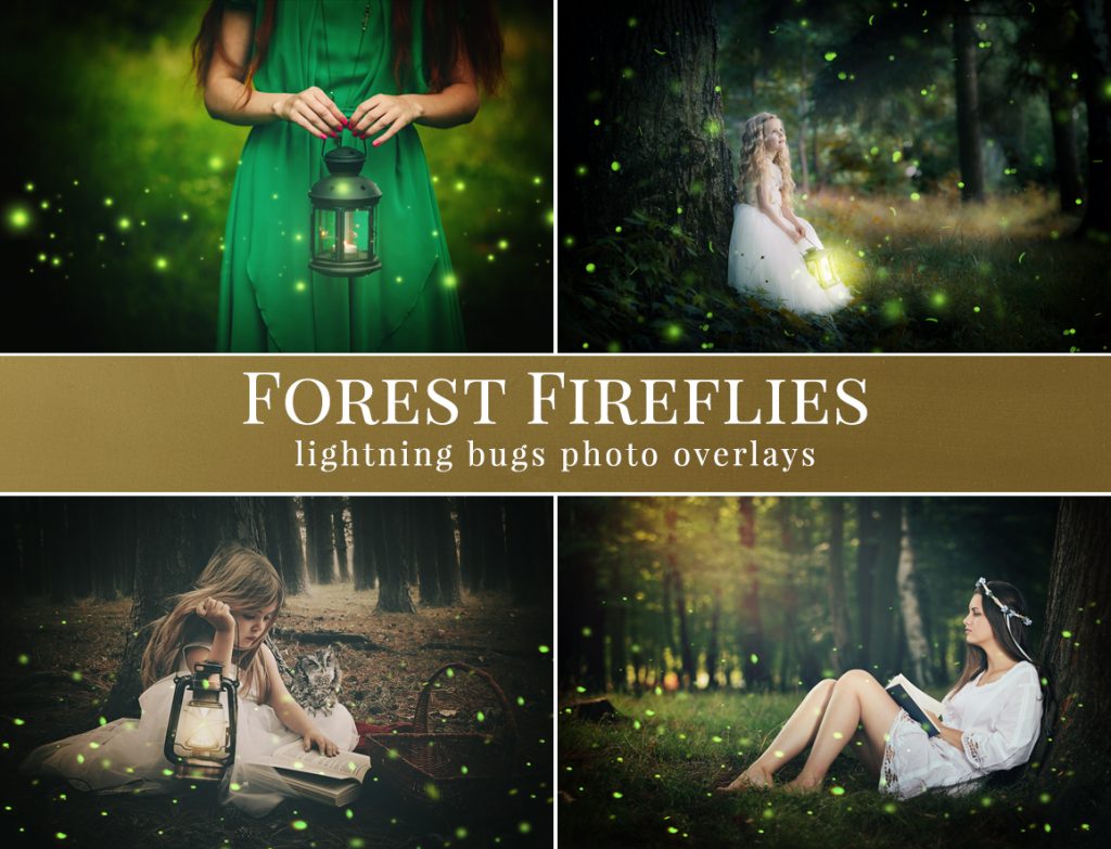 fireflies photo overlays