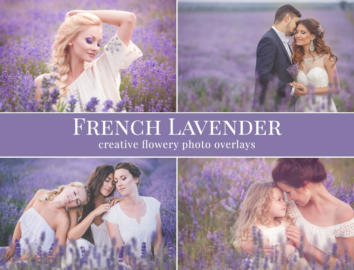 lavender photo overlays