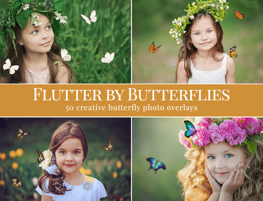 butterflies photo overlays