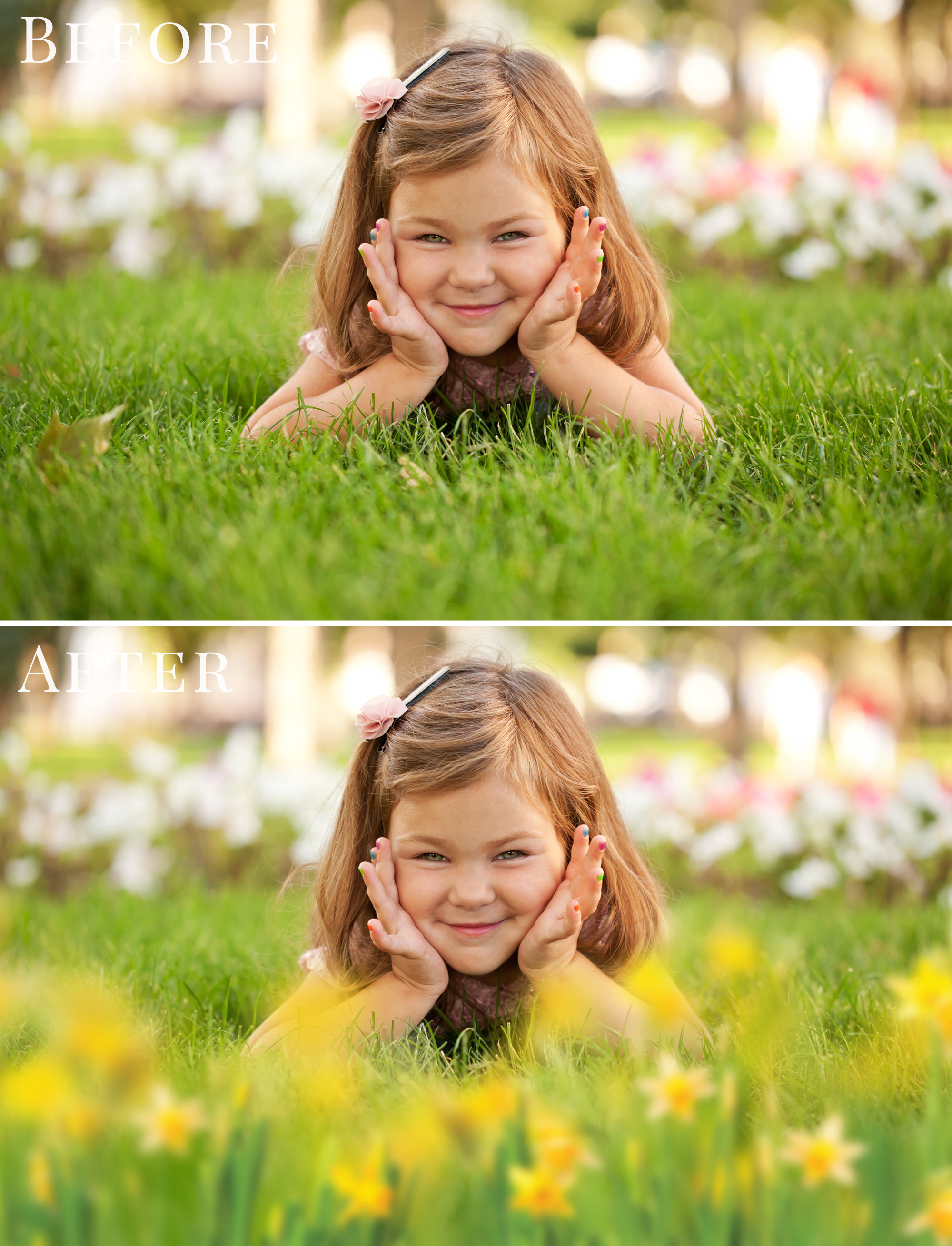 daffodils-flowers-photo-overlays