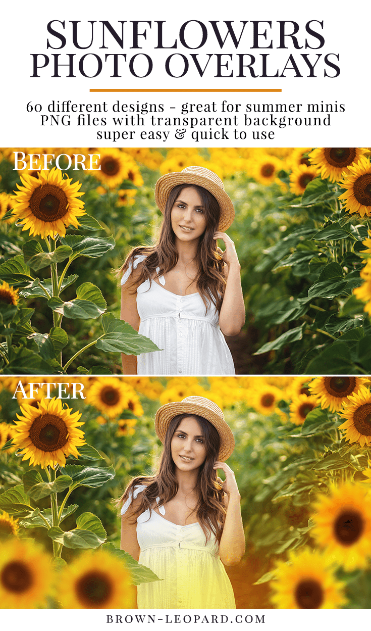 Enhance your summer photography, style amazing scenes with our sunflower photo overlays! 60 different sunflower designs - flowers, petals, leaves, haze & pre-made scenes. Great for portraits, kids, families, wedding & all outdoor photography. Drag & drop - very easy to use, fast and simple. Original results just in few seconds. Professional summer photo overlays for Photoshop, Zoner, Gimp, PicMoneky, Canva, etc. Photo overlays for creative photographers from Brown Leopard.